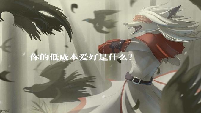 你的低成本爱好是什么？
